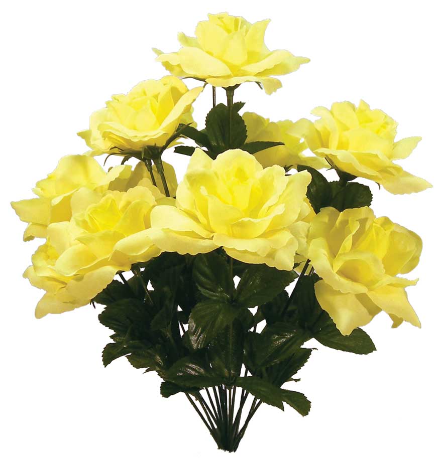 16.5" ROSE BUSH OPEN X 14 SFT YELLOW