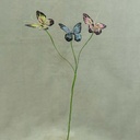 22" BUTTERFLY X3 SPRAY OAL