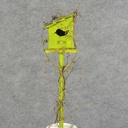 BIRDHOUSE W/TWIG ON PICK 16"OAL  (SLANTED ROOF)  GREEN