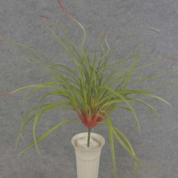 20" GRASS BUSH PLASTIC RED/GREEN