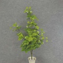 IVY HANGING BUSH 3' X8 155/LVS