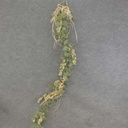 BERRY/LEAF/RAFFIA GARLAND 72"  