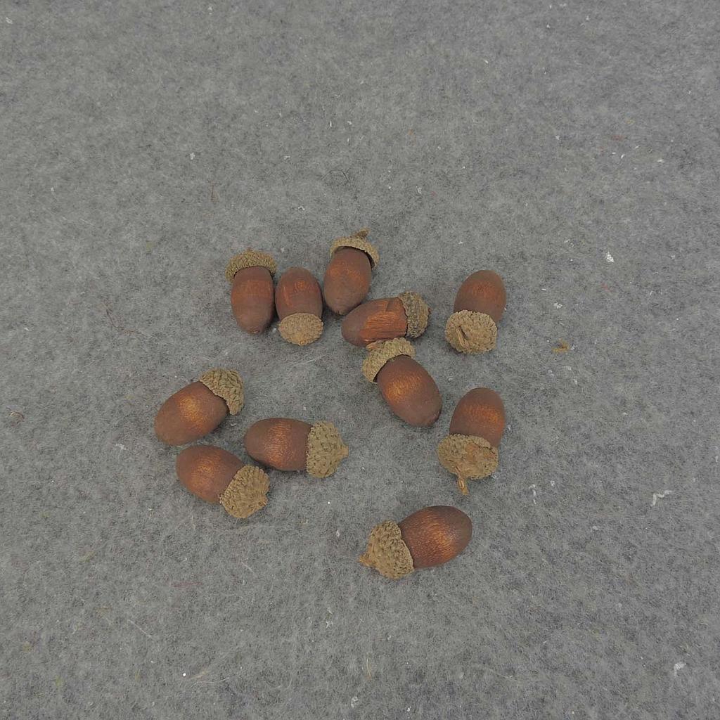 [SRF5005-BRN] ACORN 1.25"-1.5" (75 PER BAG)