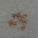 ACORN 1.25"-1.5" (75 PER BAG)