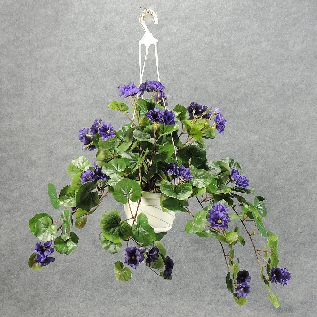 GERANIUM HANGING BASKET PURPLE