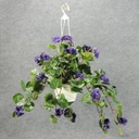 GERANIUM HANGING BASKET PURPLE