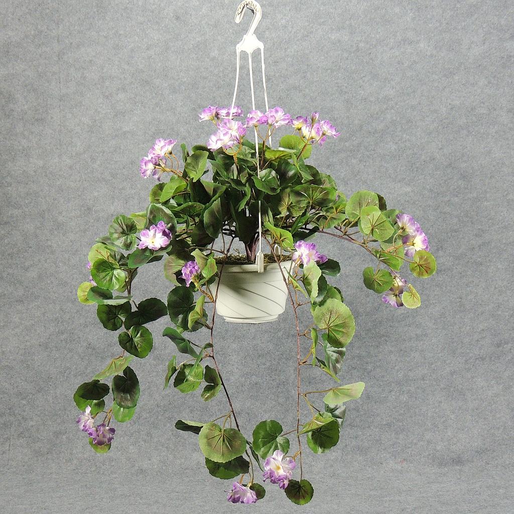 [WW145-LAV] GERANIUM HANGING BASKET LAVENDER