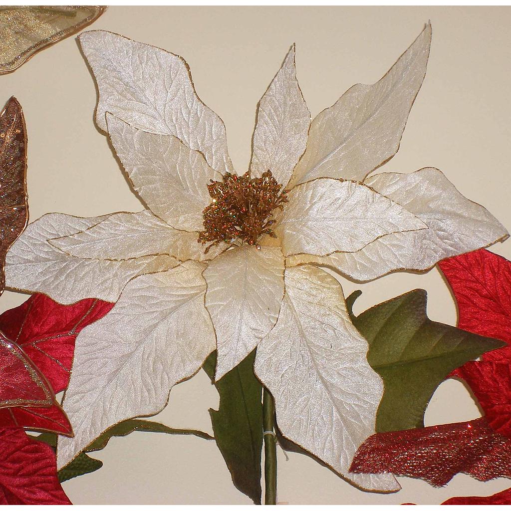 [X100220-CRM] 43" POINSETTIA CREAM VELVET