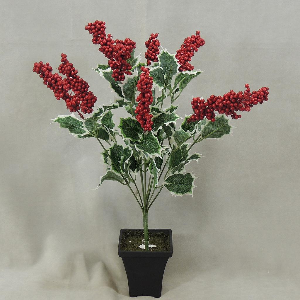 [X100293] 20" HOLLY BUSH X10 VARIEGATED