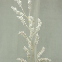 SPRAY 26" BUBBLE BERRY WHITEW/GLITTER