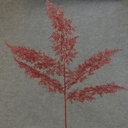 30" GLITTER/LASER CEDAR SPRAY  RED