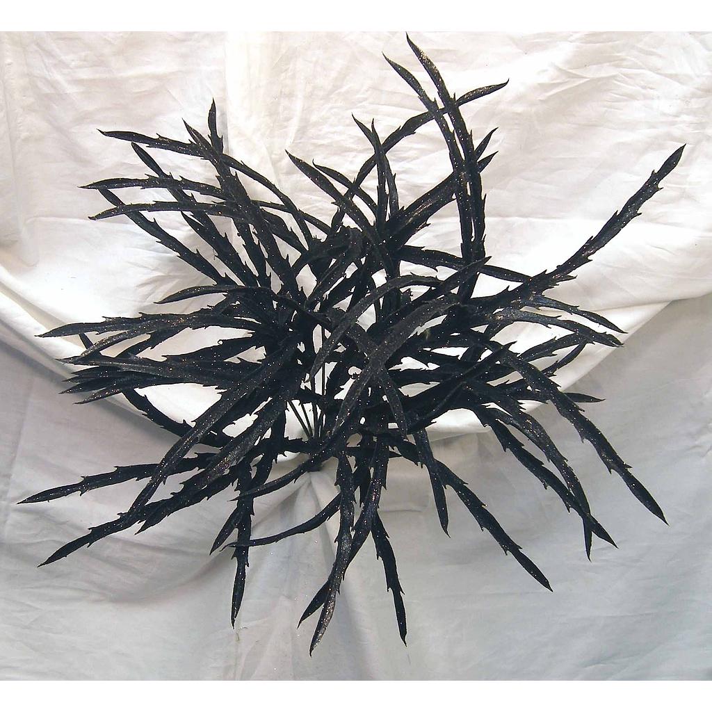 GLITTER DRYANDRA GRASS BUSH  BLACK