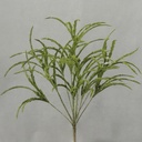 GLITTER DRYANDRA GRASS BUSH  GREEN