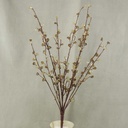 25" MICA ICE CUBE BERRY BUSH X9  GREEN/GOLD
