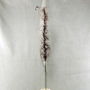 33" GLITTER MOSS GRASS SPRAY  CHOCOLATE