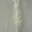 33" GLITTER MOSS GRASS SPRAY  WHITE