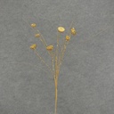30" GLITTER LOTUS POD SPRAY X7  GOLD