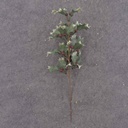 15" HOLLY BERRY SPRAY (12/BAG) VARI & GREEN