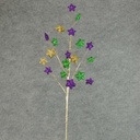 29" STAR SPRAY - MARDI GRAS 19 STARS