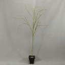 40" LT GREEN ARTI BIRCH BRANCH
