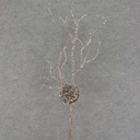 33" TWIG SPRAY W/NEST SNOW/ICE