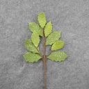 22" HOLLY SPRAY FELT W/GLITTER