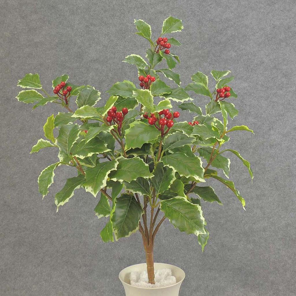 HOLLY (REAL TOUCH) H. BUSH X7  VARIGATED