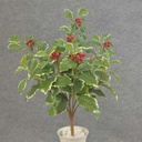 HOLLY (REAL TOUCH) H. BUSH X7  VARIGATED