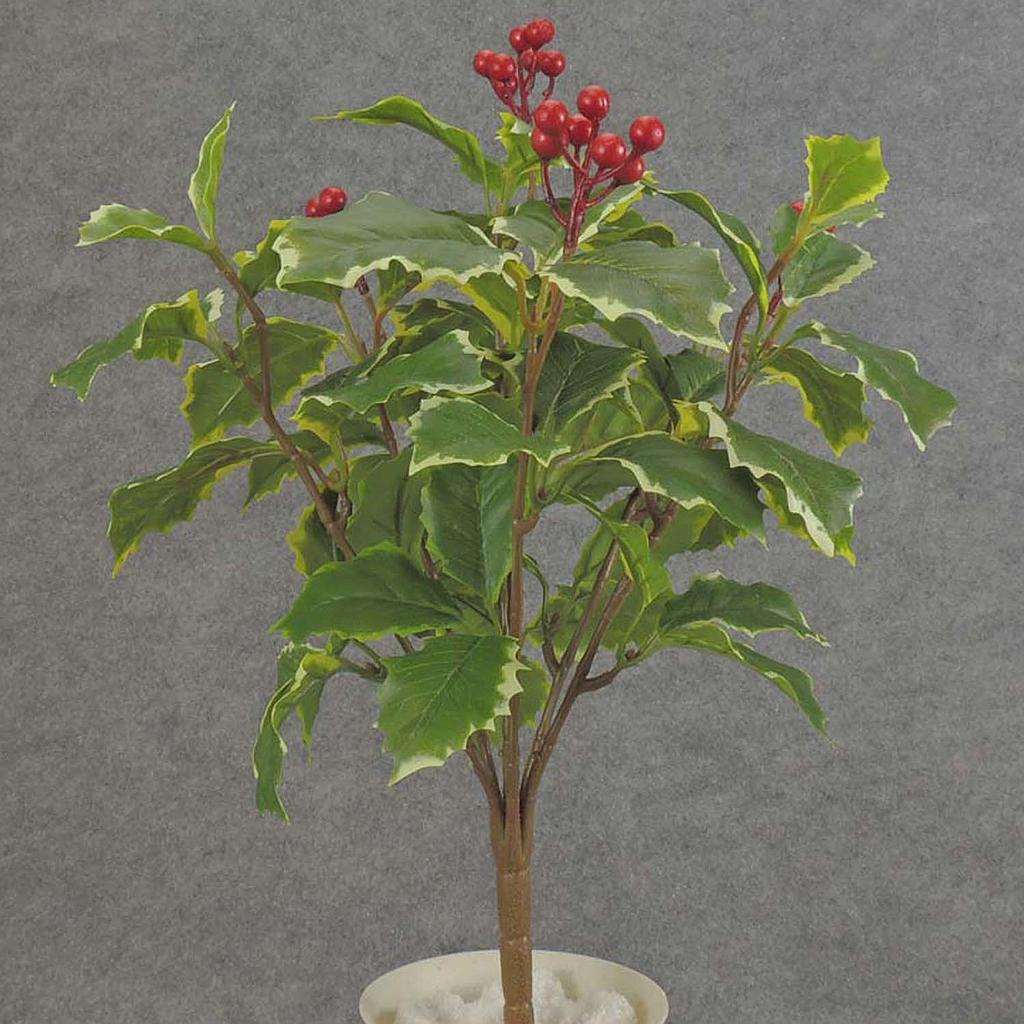 [XB5258-VAR] HOLLY (REAL TOUCH) BUSH X7