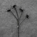 SPIDER SPRAY 20"  BLACK