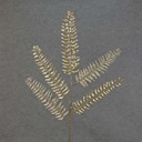 34" FERN SPRAY METAL/GLIT X5 CHAMPAGNE