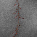 JINGLE BELL GARLAND 4' RED