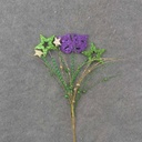 MARDI GRAS PICK 21"