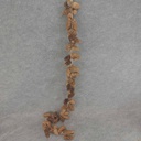 PINE CONE GARLAND NATURAL 66&quot;