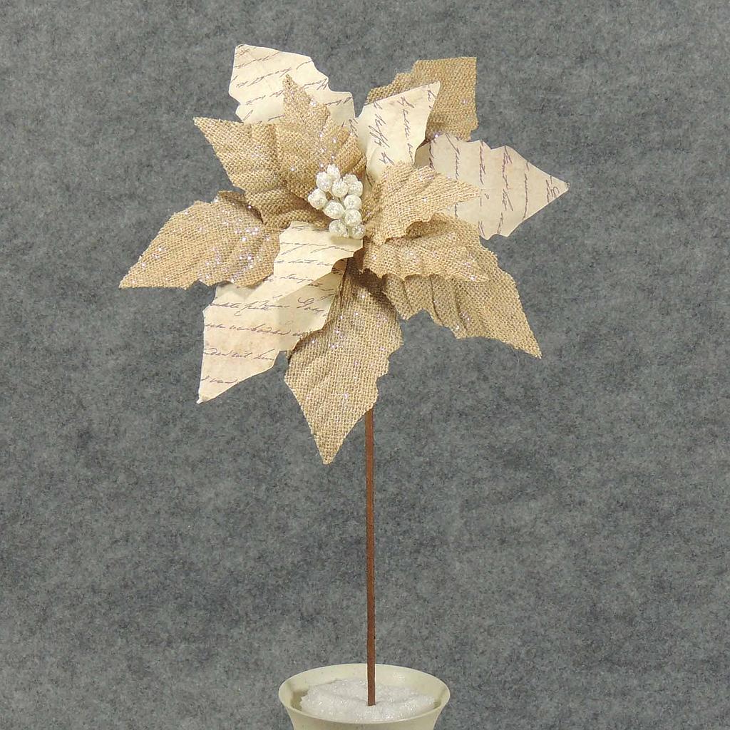 20" POINSETTIA PARCHMENT/BURLAP STEM