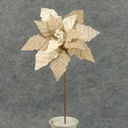 20" POINSETTIA PARCHMENT/BURLAP STEM