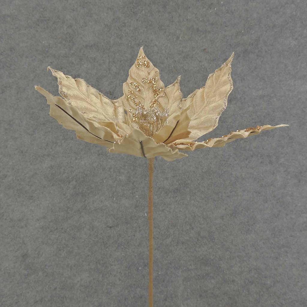 [XA6012-CHA] 12" POINSETTIA PICK 10" dia BLM CHAMPAGNE