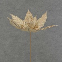 POINSETTIA PICK 12" 10"dia BLM  CHAMPAGNE