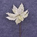 POINSETTIA PICK 12" 10"dia BLM  CREAM