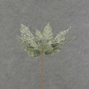 12" POINSETTIA PICK 10" dia BLM GREEN