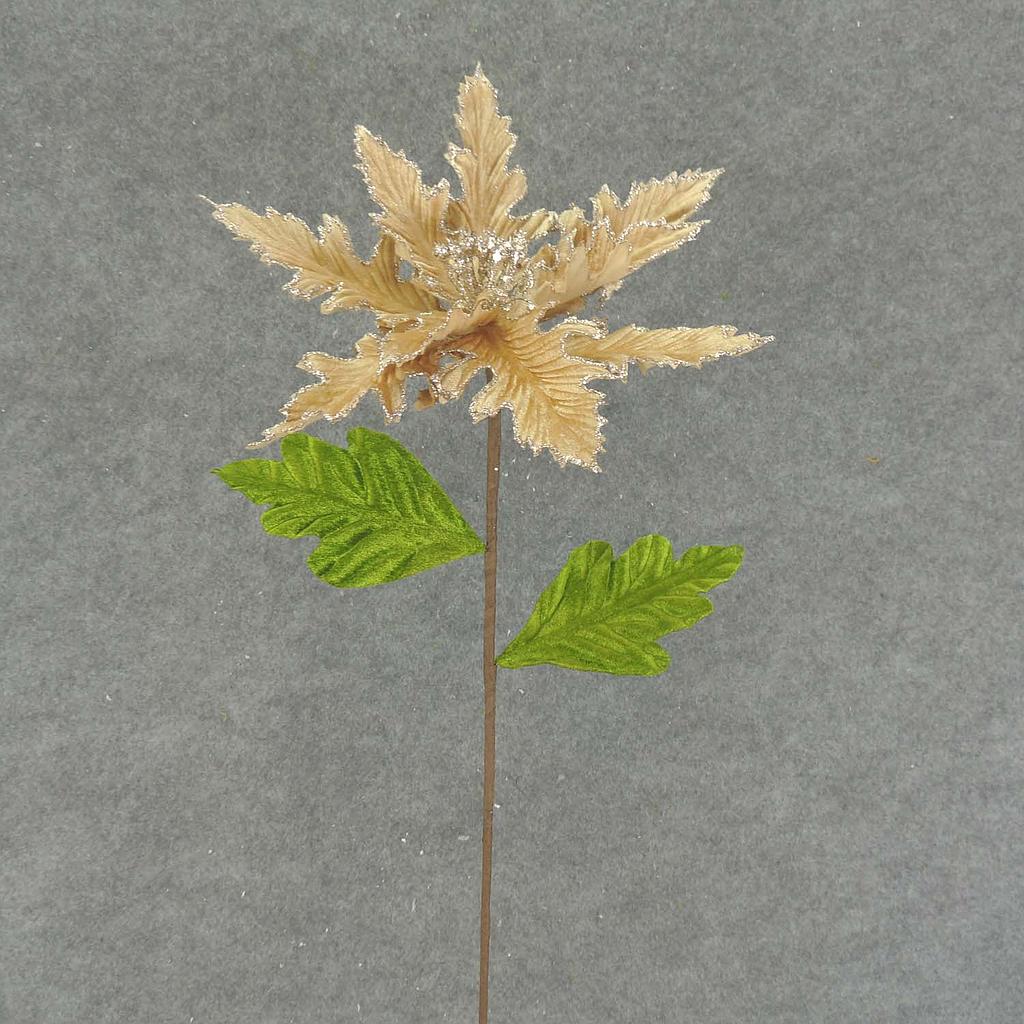 24" POINSETTIA PICK VELV/GLIT CHAMPAGNE