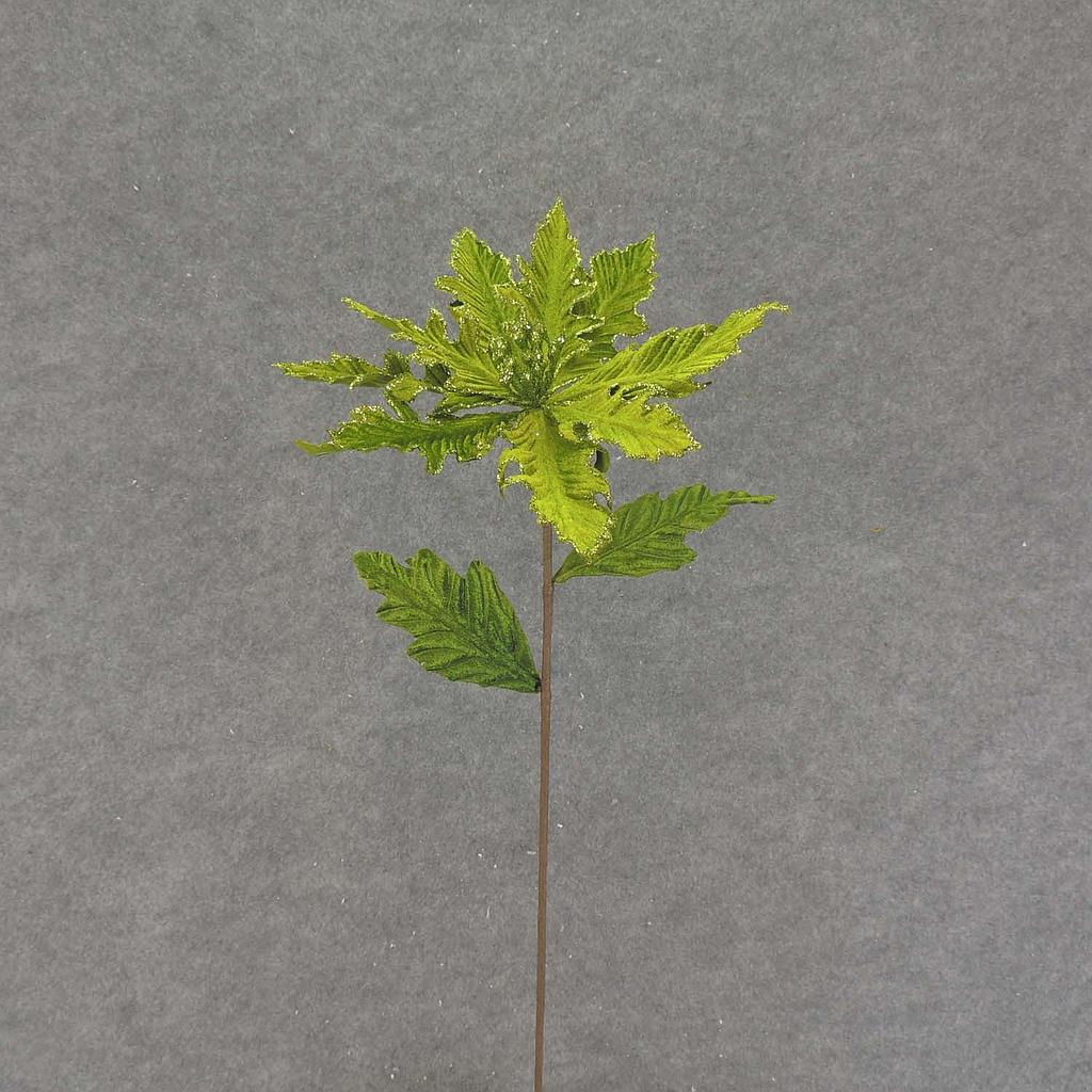 POINSETTIA PICK 24" VELV/GLIT  LIGHT GREEN