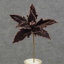 POINSETTIA PICK W/GLIT  CHOCOLATE
