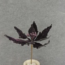 POINSETTIA PICK W/GLIT  PURPLE