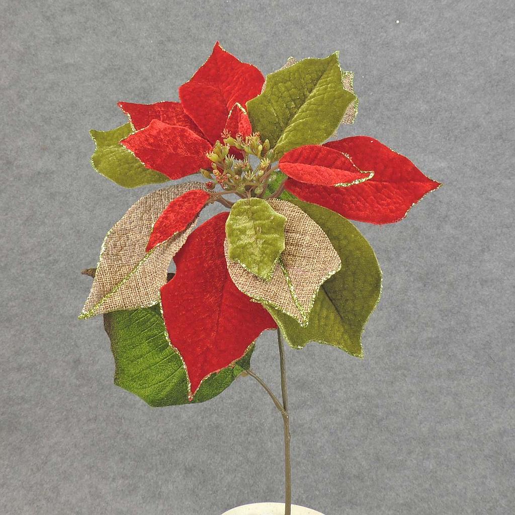 20" POINSETTIA BURLAP/VELVET 10" dia RED/GRN