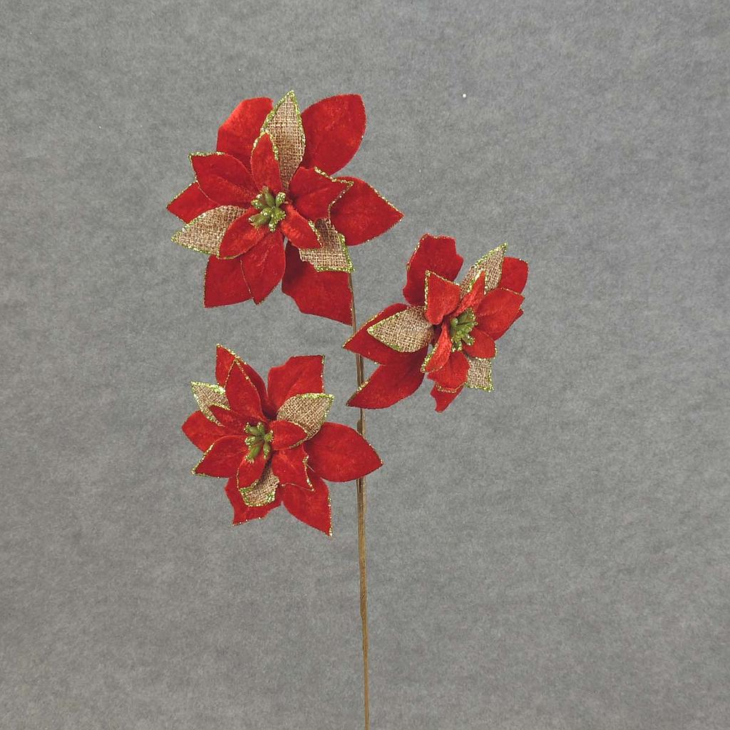 21" POINSETTIA SPRAY X3 BURLAP/VELV  RED