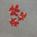 21" POINSETTIA SPRAY X3 BURLAP/VELV  RED