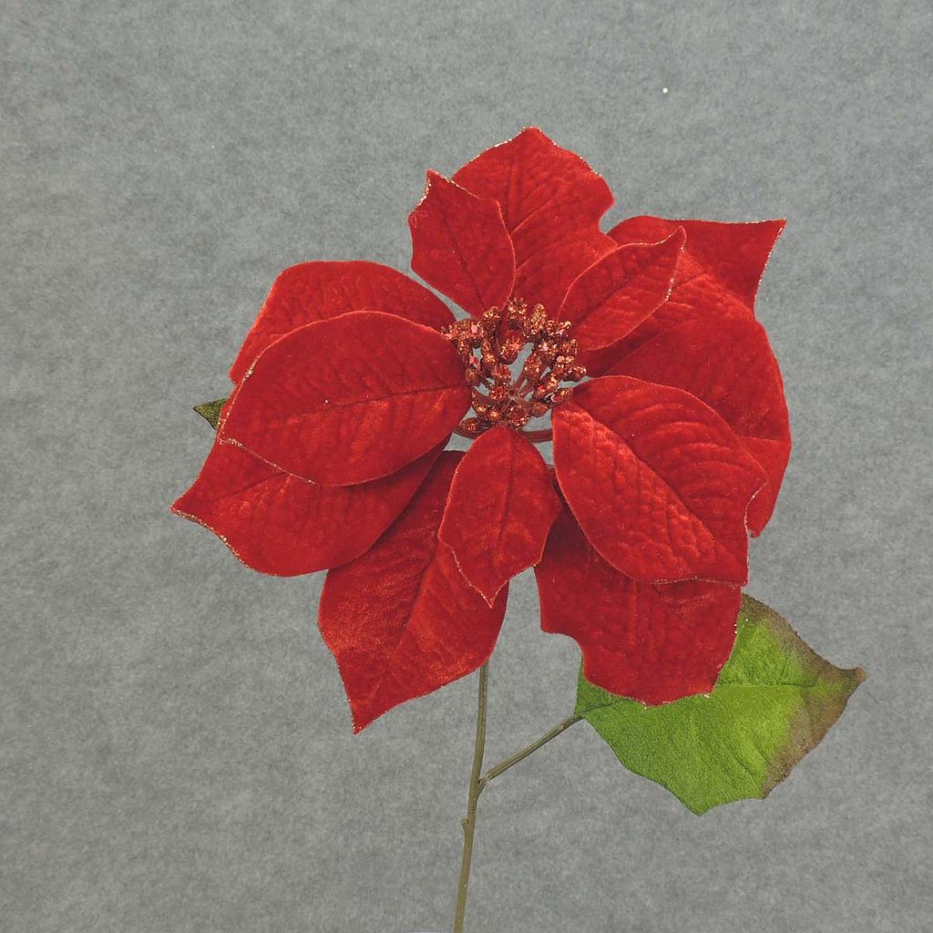 [XB5103] 20" POINSETTIA SPRAY 10" Dia RED VELVET