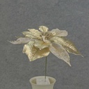 8" POINSETTIA PICK 10" Dia CHAMPAGNE