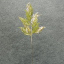 30" CEDAR SPRAY LASER/GLITTER GOLD/GREEN